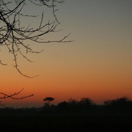 Gite Le Coucher De Soleil Plessé Exterior foto